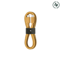 Belt Cable (USB-C to Lightning)